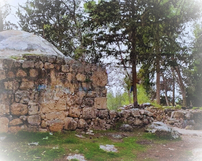 Matityahu el sacerdote