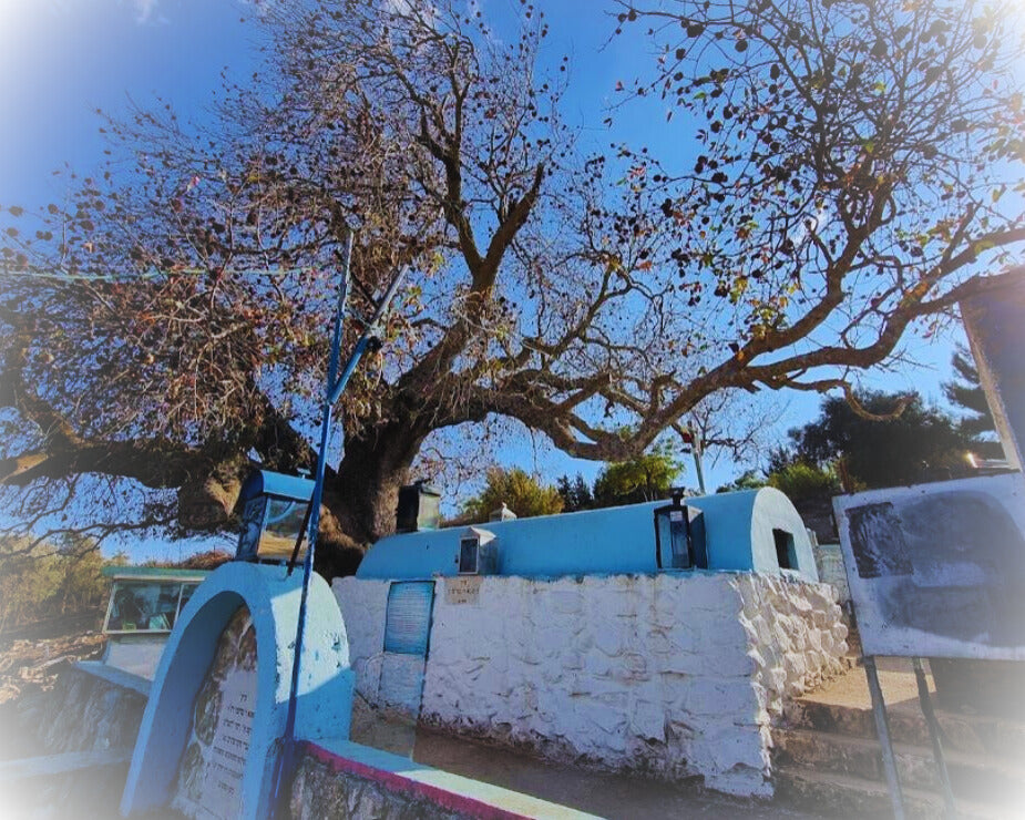 El Tana Rabi Tarfon
