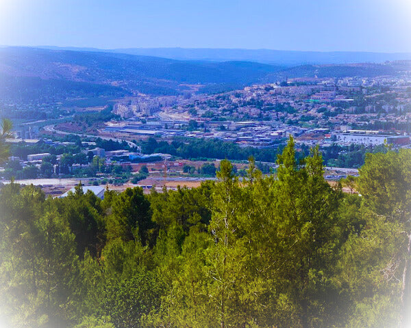 Simshon el héroe